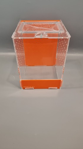 Orange mantis medium - mantis,