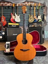 Avalon Gold Series A201E Gloss