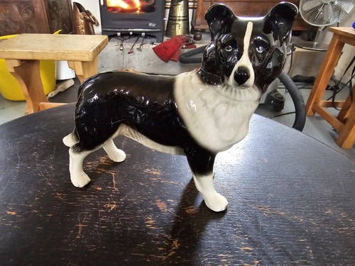 Large border collie black - large,