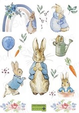 Peter Rabbit Cake Decorations