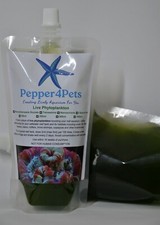 Marine Phytoplankton 3 species mix, concentrated (250ml)