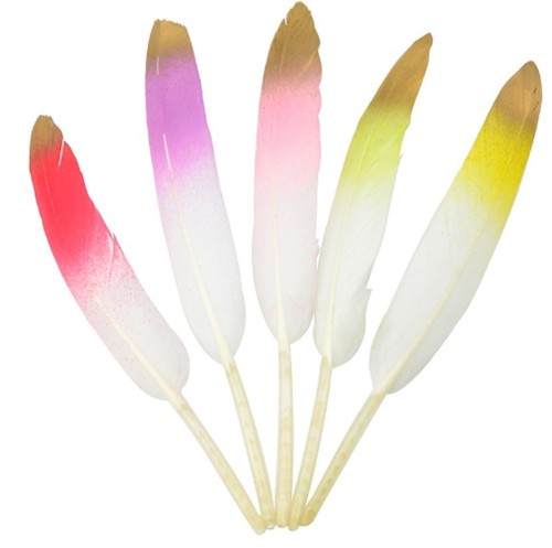 Tone goose feathers - 3,