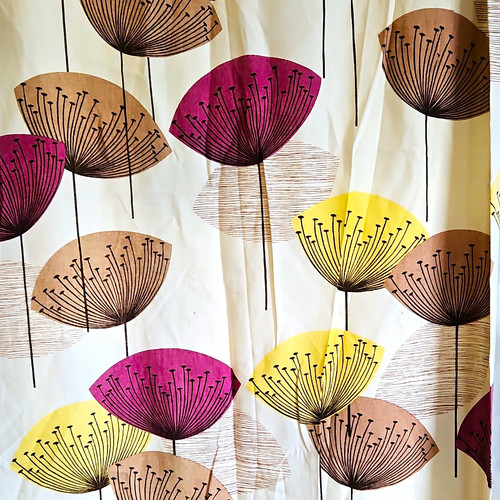 Sanderson dandelion clocks - sanderson,