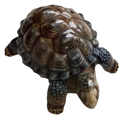 Wade tortoise lidded trinket - lidded,