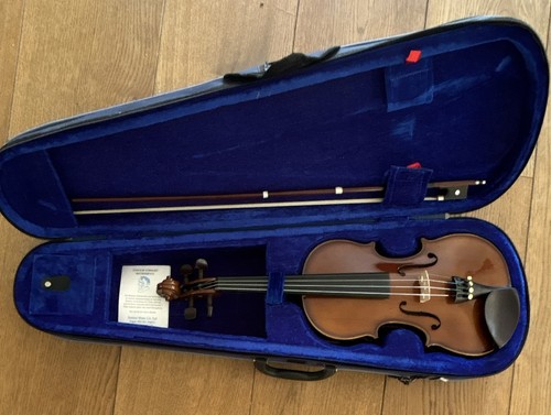 Acoustic violin 4 string - acoustic, 4-string