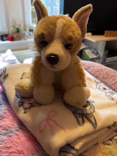 Hrh queen elizabeth corgi - queen,