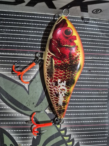 Salmo slider 12cm 30year - slider,