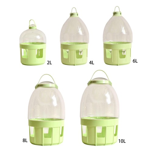 Pigeon water dispenser - water, feeder