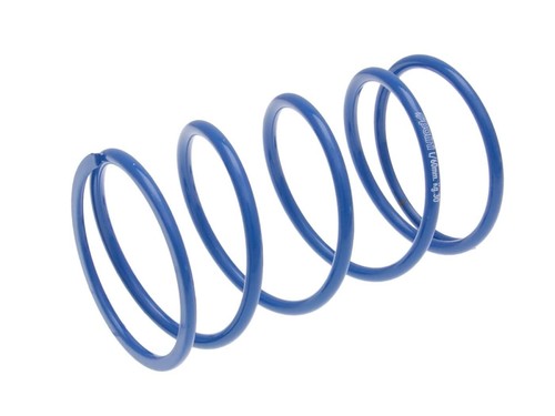 Torque spring polini for - polini,