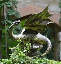 Fiery Dragon on Rock Garden
