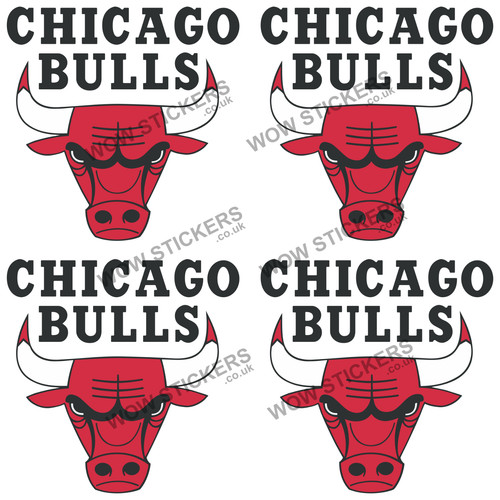 Chicago bulls basketball - chicago,