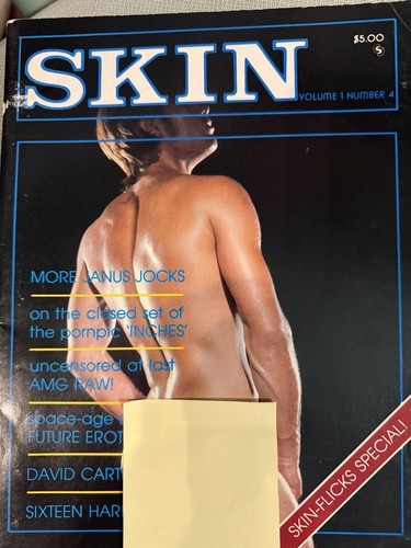 Vintage skin magazine 1980 - vintage,
