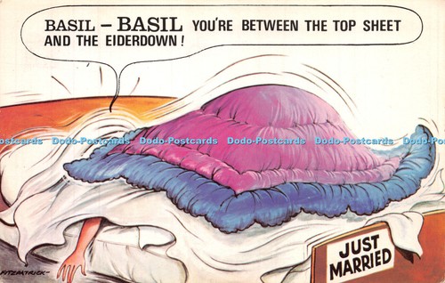R242752 basil - r242752,