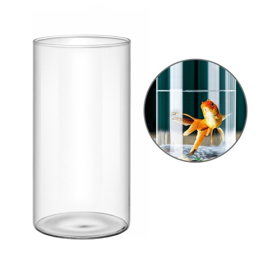 Clear glass cylinder vase - clear,