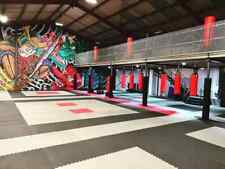 40mm Martial Arts MMA Mats 1m2 Grey/Black/Red Karate TKD Judo BJJ Kickboxing