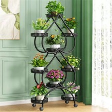 Heavy Duty Cast Iron Plant