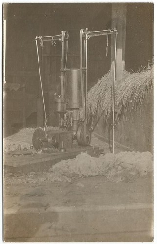 Sheep shearing machine - sheep,