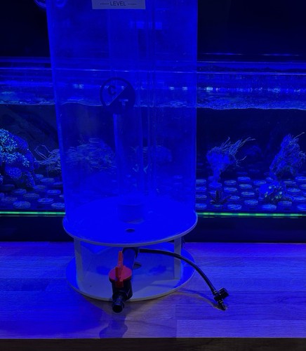 Cleartides phyto phytoplankton - cleartides,