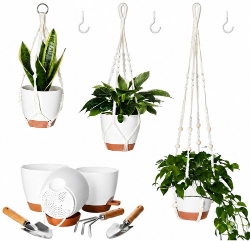 Self watering hanging - self, plant