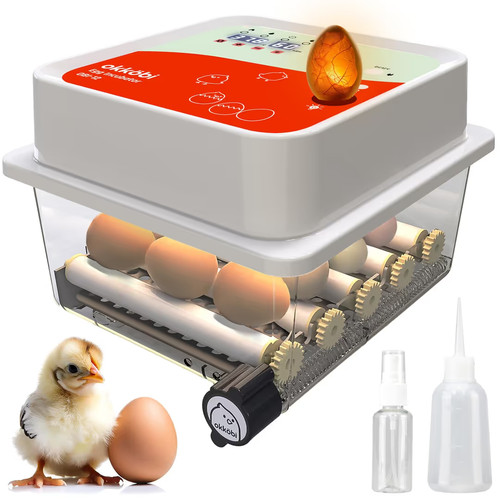 Okköbi obi egg incubator - okköbi,