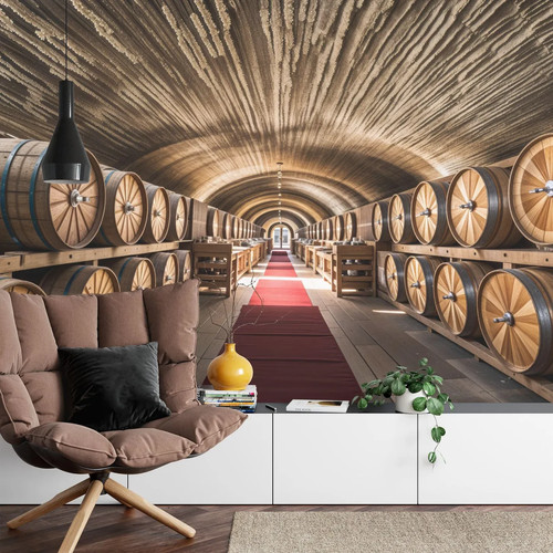 Wine cellar vault - cellar, vault,