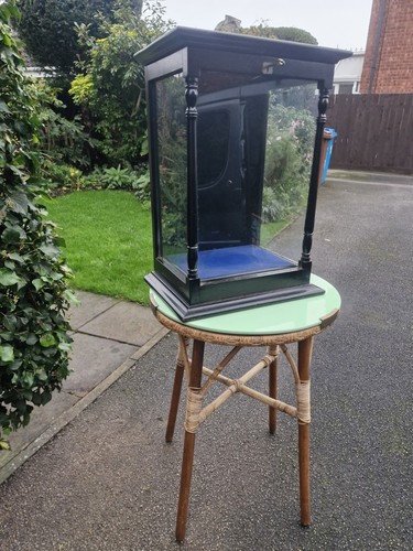 Antique ebonised museum - antique,