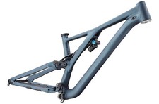 Frame Pivot Bearing Kit |