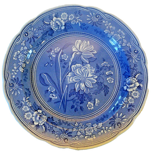 Spode blue room - blue, collection