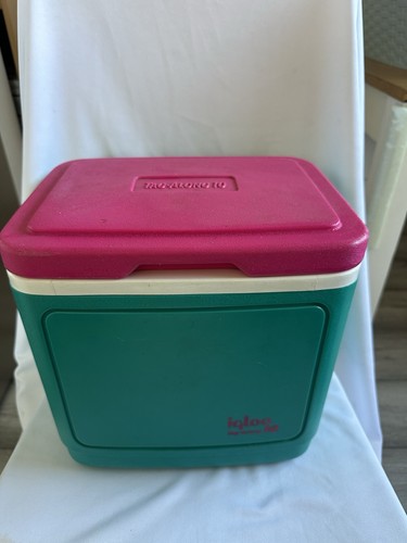Vintage retro igloo - retro,