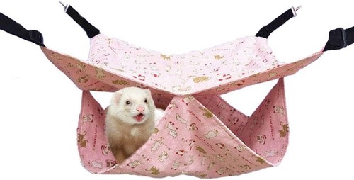 Pet bird hamster ferret - hamster,