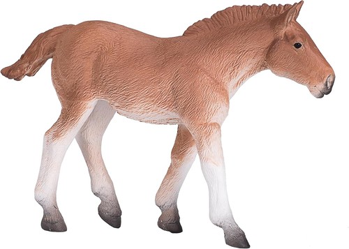 Mojo suffolk punch - mojo, foal