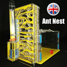 Ant House Ant Farm With