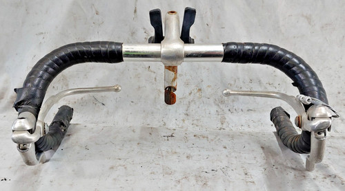 Raleigh record modolo - modolo, anatomic