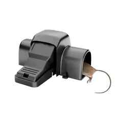 Large Dual Entry Pet Friendly