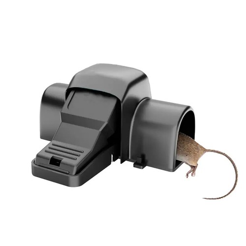 Large dual entry - large, pet
