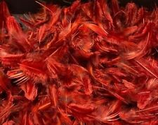  Dyed Golden Pheasant Breast Feathers Various Colours Approx 2g Gordon Griffiths