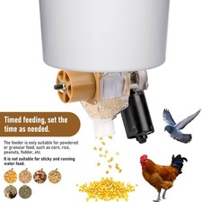 Timed Chicken Feeder and Duck