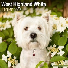 West Highland White Terrier 2026 Calendar | Dog Breed Gift 15% OFF MULTI ORDERS