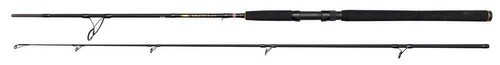 Penn wrath spinning rods - ll,