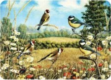 Goldfinches Tuftop Worktop