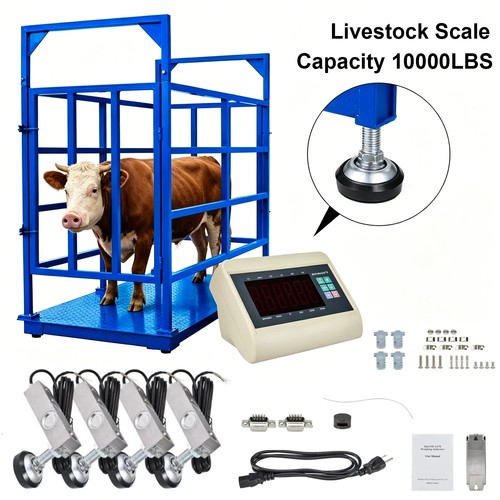 10000 lbs livestock - livestock, scale