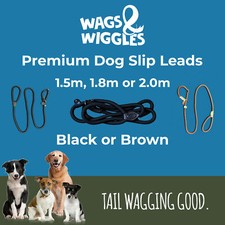 Black Slip Lead for Small Dogs