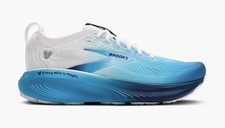 2026 Run Disney WDW Brooks