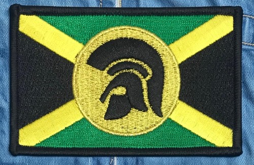 Ska reggae skinhead patch - ska,