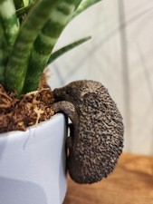 Hedgehog Pot Hanger Resin Garden Ornament Decoration London Ornaments Pot Buddy