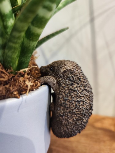Hedgehog pot hanger resin - hedgehog,