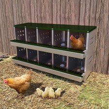 8 Compartment Chicken Nest Box