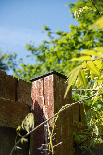 Fence post caps - post, wooden