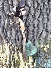 Antique Victorian  Spanish