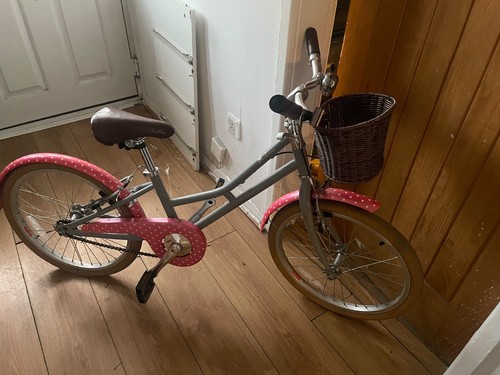 Young girls pendleton bicycle - young,